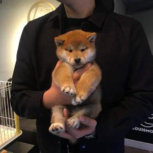 男男打屁股惩罚gav网站
